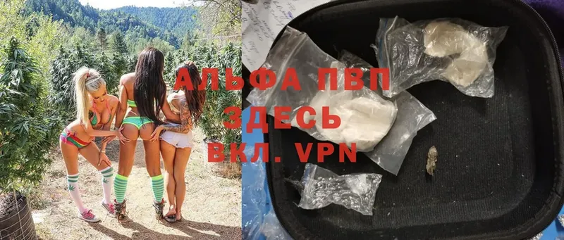 A-PVP СК Вязьма