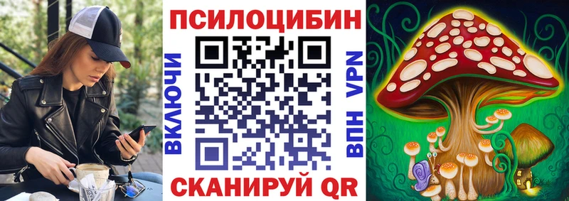 Псилоцибиновые грибы мицелий  закладки  Вязьма 