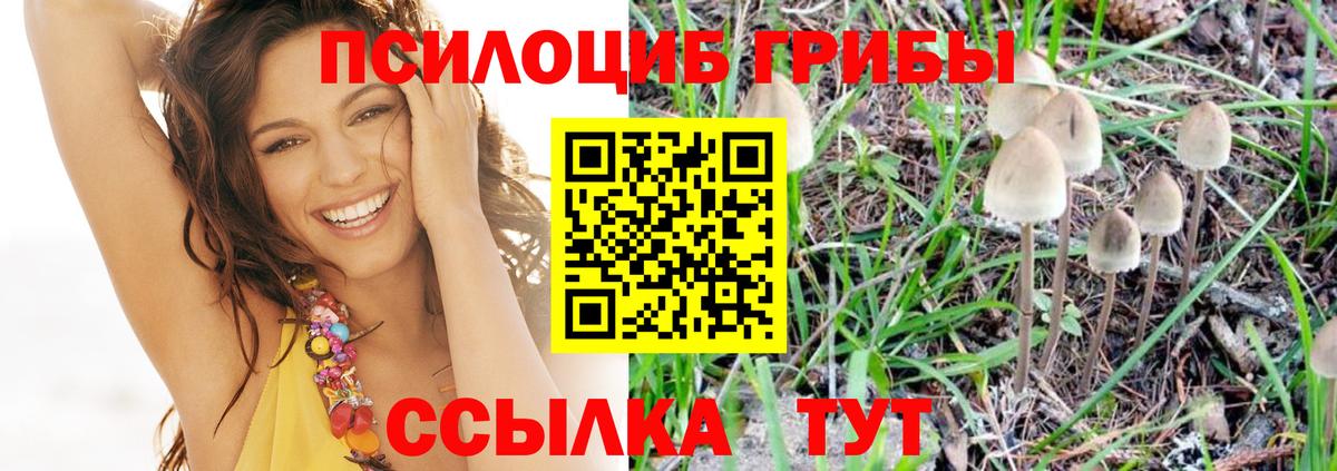 Галлюциногенные грибы Magic Shrooms  Вход с VPN  Псилоцибиновые грибы мицелий  Вязьма 