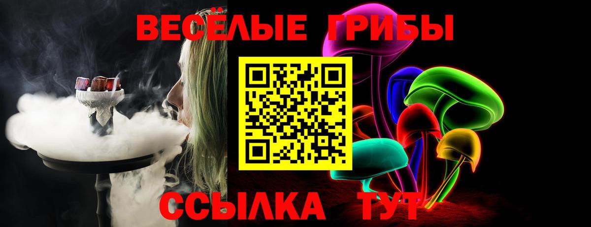 Галлюциногенные грибы Psilocybine cubensis Вязьма