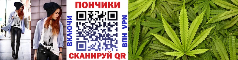 Шишки марихуана планчик  где найти наркотики  Вязьма 