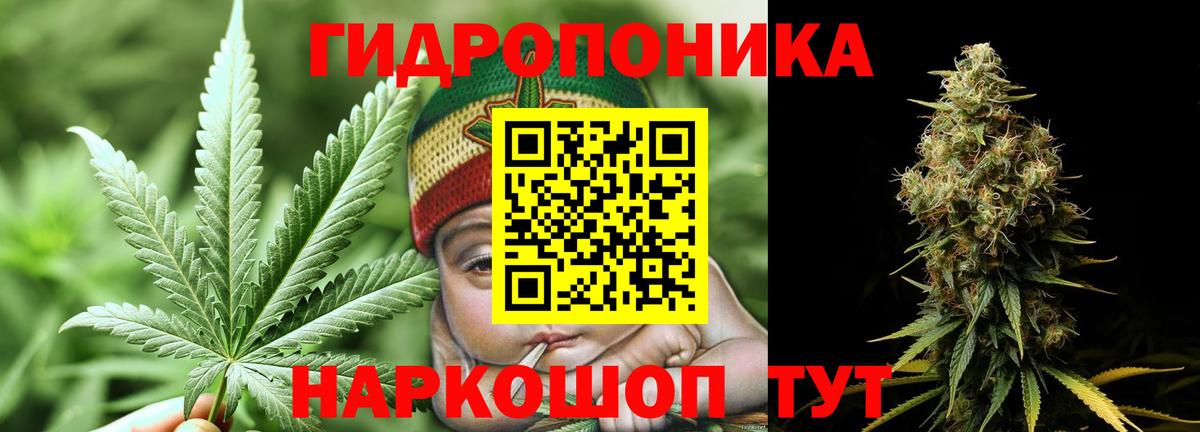 МАРИХУАНА сатива Вязьма